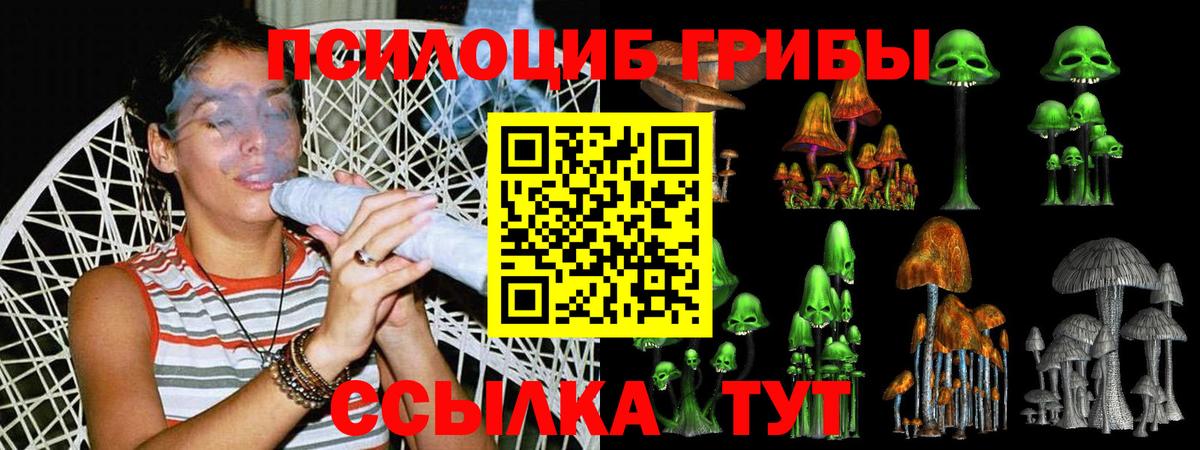 Обь  Псилоцибиновые грибы мухоморы  Вход с VPN  Галлюциногенные грибы Psilocybine cubensis 